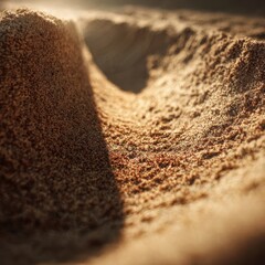 Sand Dunes Under Sunlight
