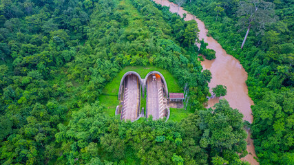 The tunnel for vehicles through the forest was built to connect the forest areas, allowing wildlife to cross back and forth.