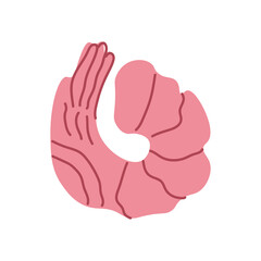 Illustration of Pink Shrimp Isolated on Transparent Background. Seafood