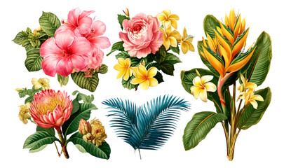 Fototapeta premium Vibrant Tropical Flowers Set in Botanical Style for Premium Illustration