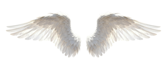 [Transparent Background PNG]White Angel Wings with Soft Feathers for Fantasy and Creativity