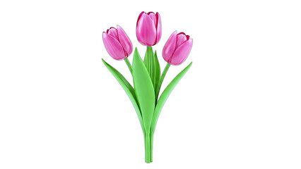 Fototapeta premium Pink Tulips Blooming on White Background