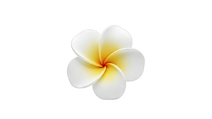 Fototapeta premium Plumeria Flower Isolated on White Background