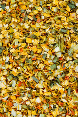 Variety of spices and herbs background