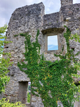 ruins. Stone wall with window and loophole. Old castle Samobor. Green plants. Croatia