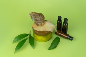 Snail crawling on cosmetic jar with natural skincare bottles and green leaves on a bright green background.