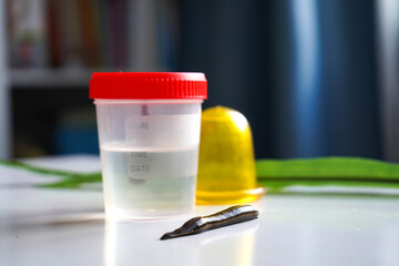 small medical leech crawls on a white surface next to a specimen container with a red cap.