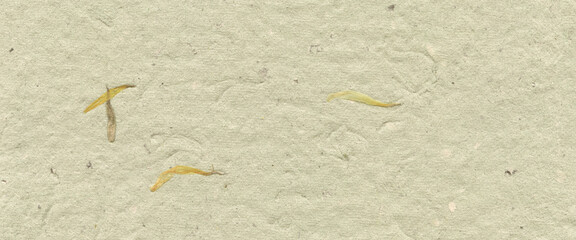Natural handmade paper with subtle plant embedded texture. Eco friendly fiber surface for wedding invitation, craft background, scrapbooking, design