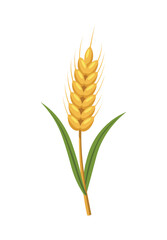 Golden Wheat Ear with Green Leaves