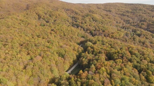 Aerial view of dense, colorful forest with a road cutting through it, showcasing autumn foliage, Lago Maulazzo, Messina, Italy.