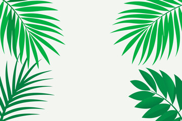 Naklejka premium Tropical leaves on white background with green palm fronds