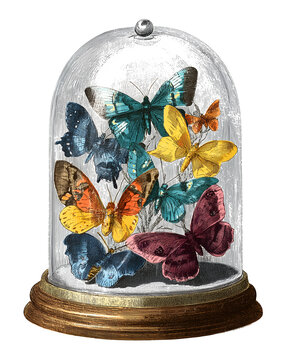 Vintage butterflies globe  illustration isolated on white background