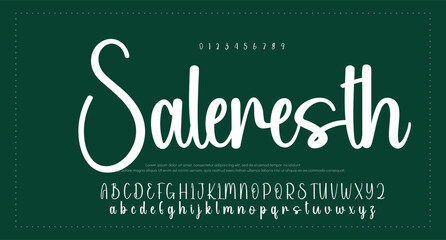Script Elegant Signature Typeface. Lettering signature font isolated on background. brush style alphabet. Vector logo letters.  
