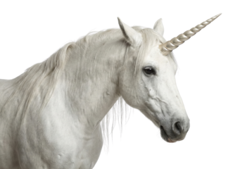 White unicorn profile on white background
