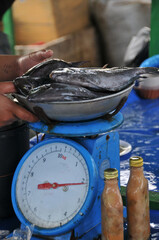 Fische auf der Waage beim Fischmarkt