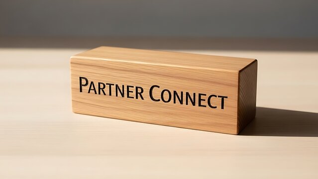 Partner Connect Wooden Block Isolated on Transparent Background