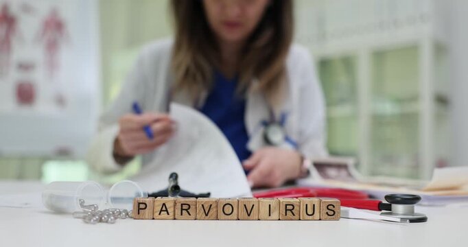 Woman doctor carefully reviews laboratory results of patient in office. Miniature wooden blocks forming word Parvovirus lie on table near stethoscope