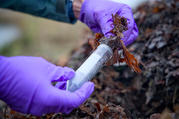 Hands holding a test tube while collecting leaf samples for scientific research. The procedure...