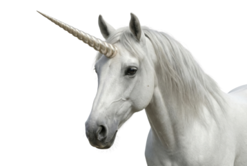 White unicorn with long horn isolated on white background