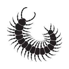 A black and white illustration of a curled centipede with many legs