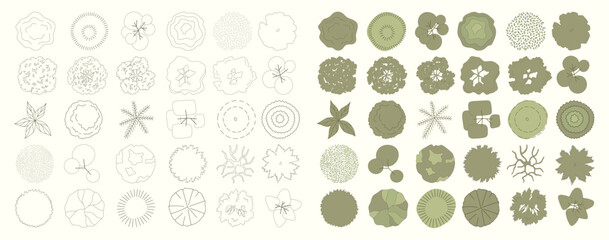 Top view trees for architectural plans and landscape design. Minimal vector illustration for urban planning, site plans, and architectural entourage.