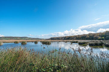 The scenic views of Sarıkum National Park, situated in a combination of sea, sand, lake and forest with species of water birds and birds of prey, and roe deer, lynx, bustard and swan in Sinop, Turkey.