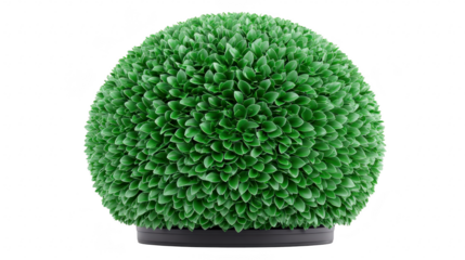 Round artificial plant green leaves decorative shrub modern home decor isolated on transparency background realistic foliage indoor accent fresh and vibrant style