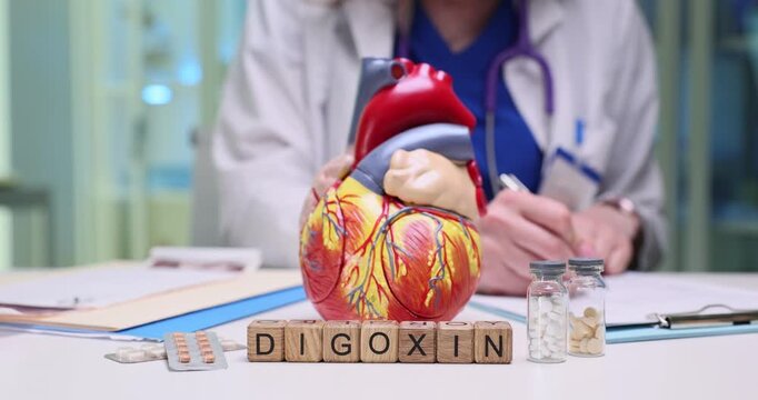 Woman doctor writes instructions for medication use. Wooden blocks arranged to form word Digoxin placed near anatomical model of human heart