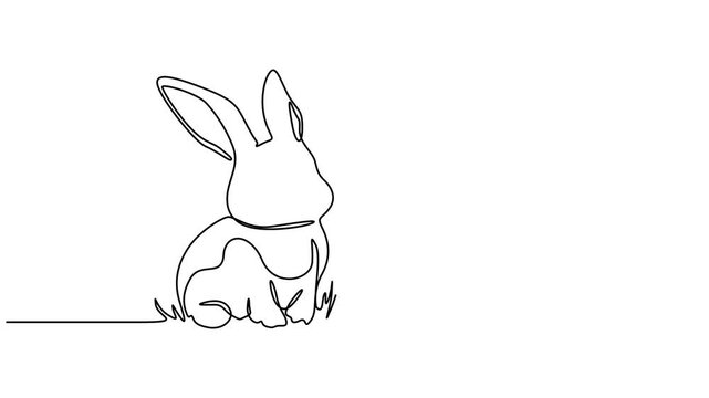 Continuous one line drawing of Easter Bunny rabbit, Easter rabbit with egg, one line drawing animation. Video clip with alpha channel, Cute bunny rabbit, Single line drawing animation, Easter.