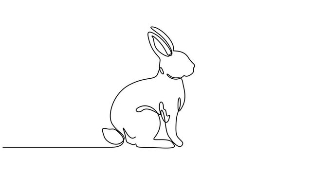 Continuous one line drawing of Easter Bunny rabbit, Easter rabbit with egg, one line drawing animation. Video clip with alpha channel, Cute bunny rabbit, Single line drawing animation, Easter.