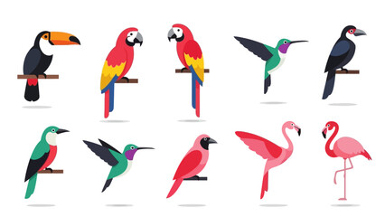 Fototapeta premium Colorful birds collection in vector style for design and illustration