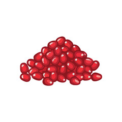 Pile of bright red pomegranate arils (seeds), healthy and juicy fruit seeds, antioxidant superfood vector illustration on white.
