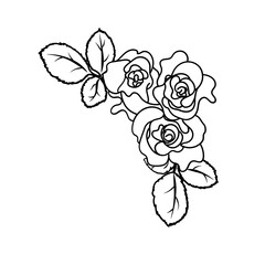 Rose flower hand drawing illustration element
