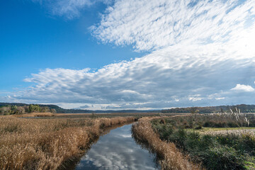 The scenic views of Sarıkum National Park, situated in a combination of sea, sand, lake and forest with species of water birds and birds of prey, and roe deer, lynx, bustard and swan in Sinop, Turkey.