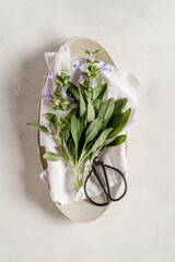 Bunch of  'Salvia officinalis'.