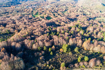 Aerial view of an autumn forest with a village in the background The Concept of rural life.