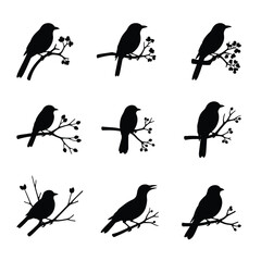 Silhouette of birds in branches vector set of bird silhouette set