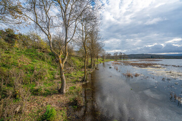 The scenic views of Sarıkum National Park, situated in a combination of sea, sand, lake and forest with species of water birds and birds of prey, and roe deer, lynx, bustard and swan in Sinop, Turkey.