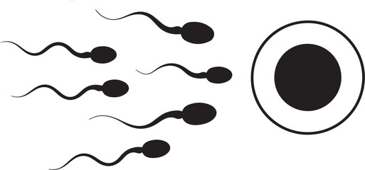 Sperm cells approaching egg for fertilization