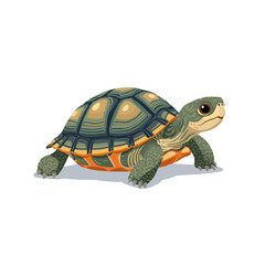 Cute Turtle Cartoon Very Cool