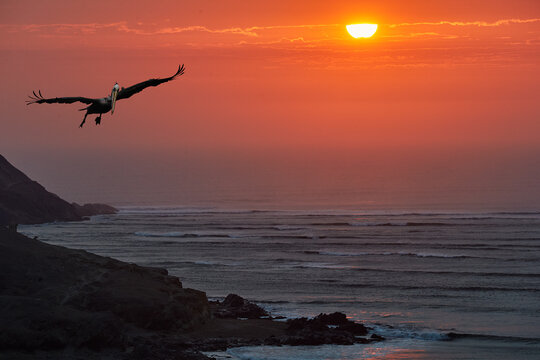 As the sun sinks into the Pacific, Chicama reveals its timeless rhythm&mdash;golden light, endless horizon, and the longest wave on Earth flowing in perfect silence.