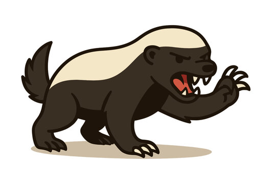 The honey badger is ready to fight because it doesn't care