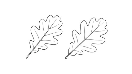 Obraz premium Simple black and white line art illustration of two detailed oak leaves with visible veins, isolated on a plain white background.