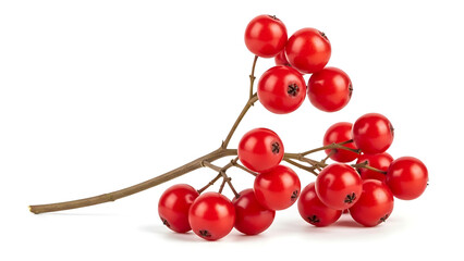 A Close-Up View of Nature's Bounty in a Studio Setting