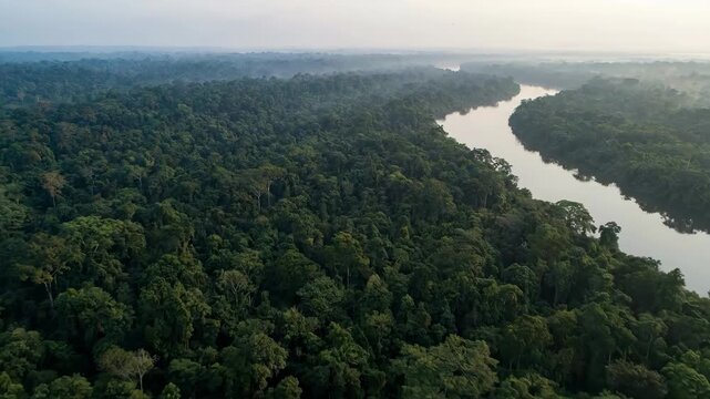 Aerial view showing a wide river snaking through the dense amazon rainforest, highlighting the vastness of the unbroken deep green jungle canopy under a misty sky
