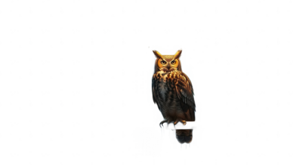 A great horned owl perched on a branch in the dark isolated on transparent background