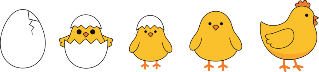 Cute chick hatching from egg vector sequence showing growth stages, baby chicken cartoon illustration for farm, spring, and Easter concepts