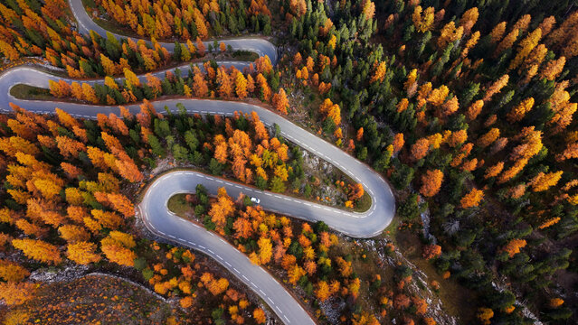 Hairpin turns of scenic road D902 in Queyras Regional Park near Col d&rsquo;Izoard, French Alps. Aerial view of winding mountain pass through autumn larch forest. Hautes-Alpes, France