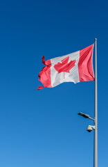 Fototapeta premium Red and white Canadian flag with maple leaf flying on a metal pole against a clear blue sky in daylight.