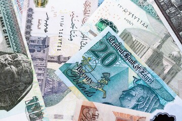 Egyptian pound currency money bills. The current banknotes lies on table in big amount close up